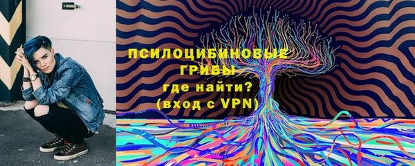 молекула духа Богородицк