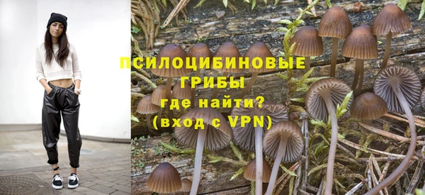 дмт Беломорск