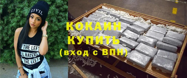 гашик Богданович