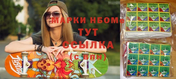 молекула духа Богородицк