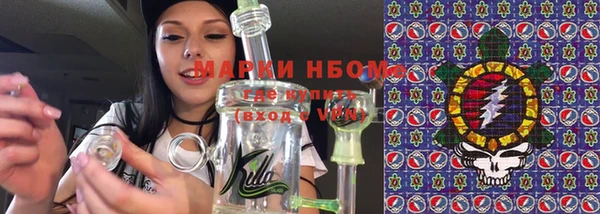 молекула духа Богородицк