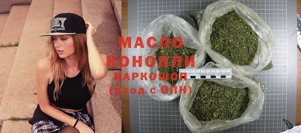 молекула духа Богородицк