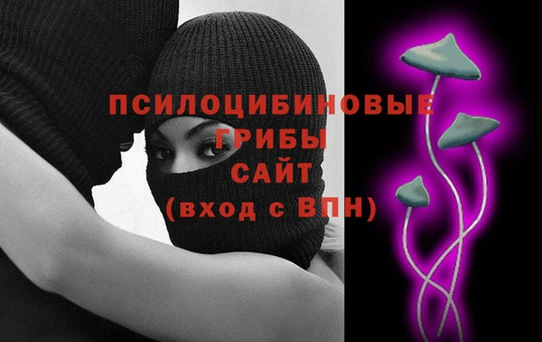 гашик Богданович