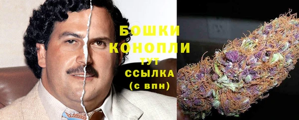 молекула духа Богородицк