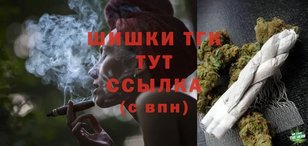 гашик Богданович