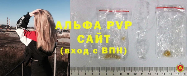 гашик Богданович