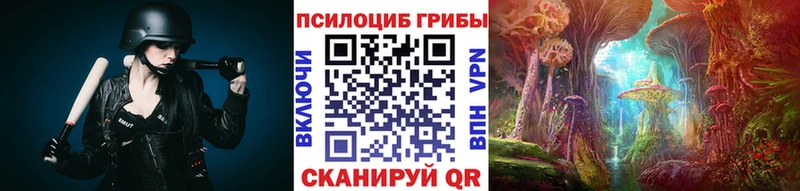 МЕГА ссылки  Балей  Галлюциногенные грибы Psilocybine cubensis  купить наркотик 